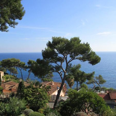 Les Bruyeres Bed & Breakfast Saint-Mandrier-sur-Mer Dış mekan fotoğraf