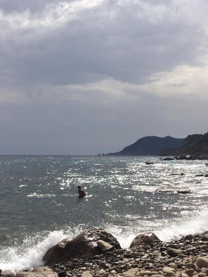 Les Bruyeres Bed & Breakfast Saint-Mandrier-sur-Mer Dış mekan fotoğraf