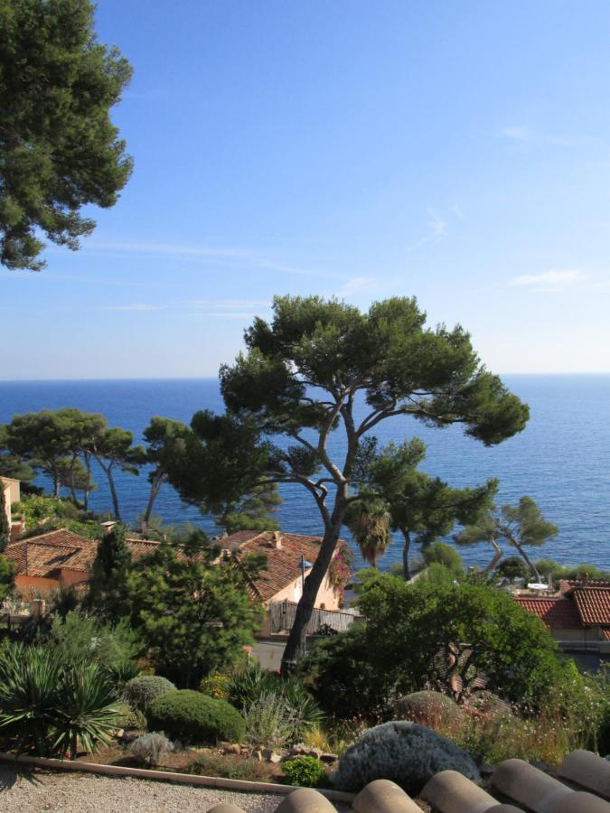 Les Bruyeres Bed & Breakfast Saint-Mandrier-sur-Mer Dış mekan fotoğraf