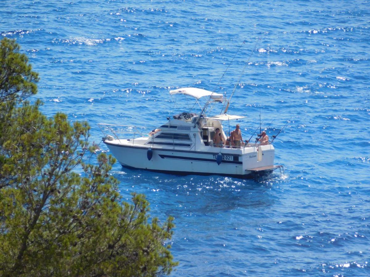 Les Bruyeres Bed & Breakfast Saint-Mandrier-sur-Mer Dış mekan fotoğraf