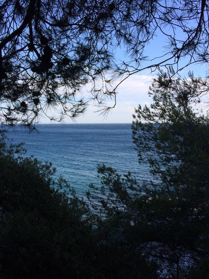 Les Bruyeres Bed & Breakfast Saint-Mandrier-sur-Mer Dış mekan fotoğraf