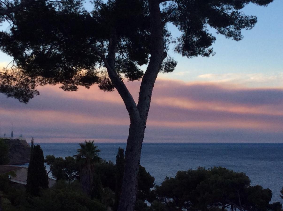 Les Bruyeres Bed & Breakfast Saint-Mandrier-sur-Mer Dış mekan fotoğraf
