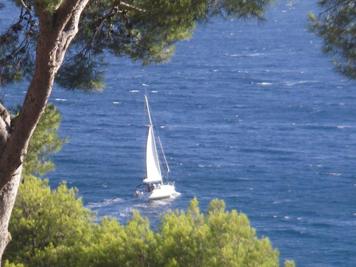 Les Bruyeres Bed & Breakfast Saint-Mandrier-sur-Mer Dış mekan fotoğraf
