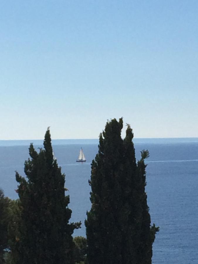 Les Bruyeres Bed & Breakfast Saint-Mandrier-sur-Mer Dış mekan fotoğraf