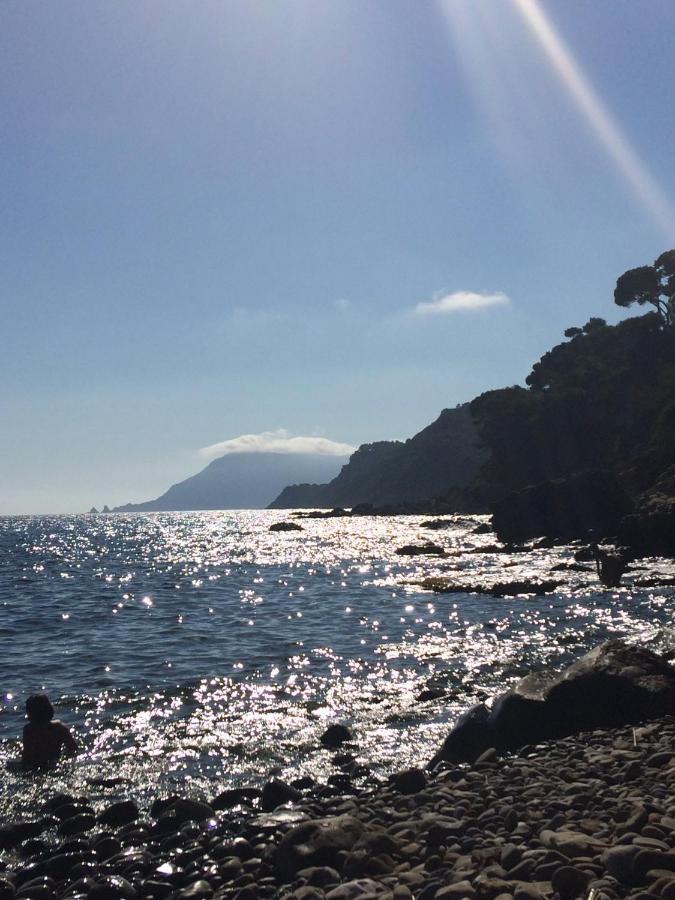 Les Bruyeres Bed & Breakfast Saint-Mandrier-sur-Mer Dış mekan fotoğraf